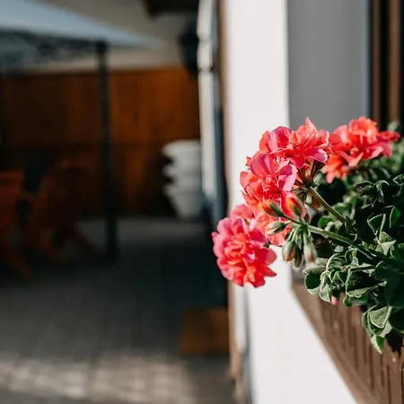 Apart Otel Samont 4*